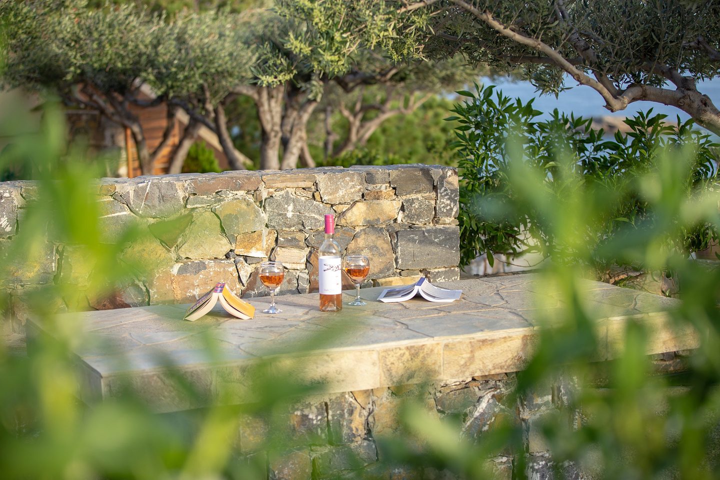 Gardens and terraces 14